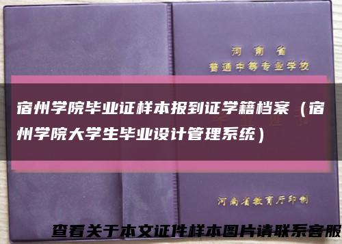 宿州学院毕业证样本报到证学籍档案（宿州学院大学生毕业设计管理系统）缩略图