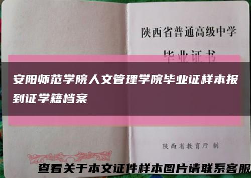 安阳师范学院人文管理学院毕业证样本报到证学籍档案缩略图