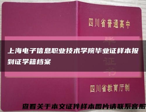 上海电子信息职业技术学院毕业证样本报到证学籍档案缩略图