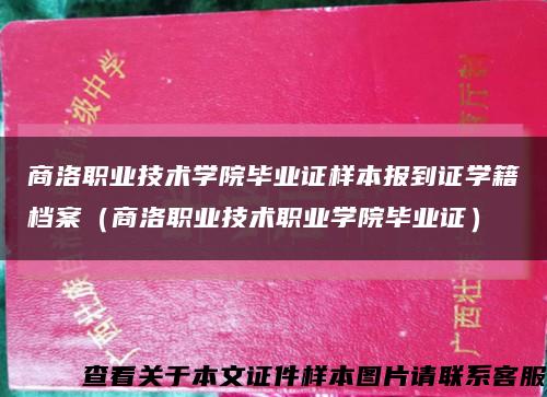 商洛职业技术学院毕业证样本报到证学籍档案（商洛职业技术职业学院毕业证）缩略图