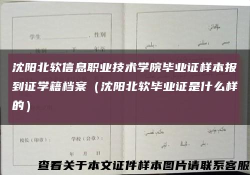 沈阳北软信息职业技术学院毕业证样本报到证学籍档案（沈阳北软毕业证是什么样的）缩略图
