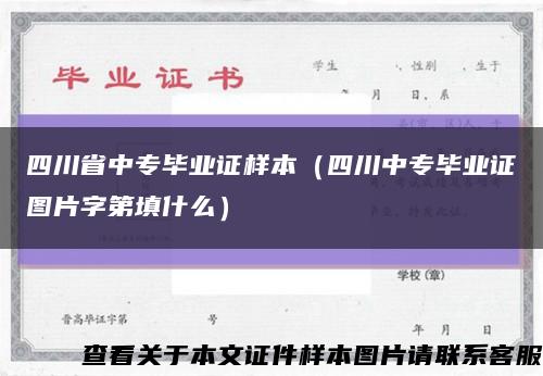 四川省中专毕业证样本（四川中专毕业证图片字第填什么）缩略图