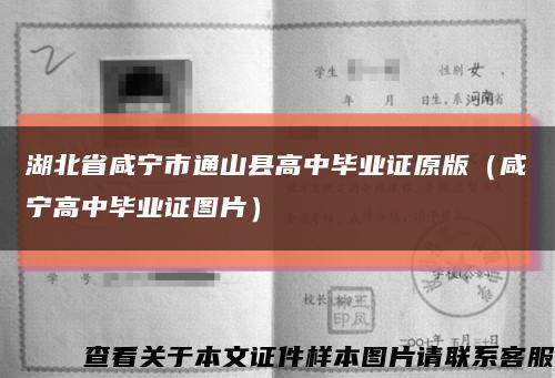 湖北省咸宁市通山县高中毕业证原版（咸宁高中毕业证图片）缩略图