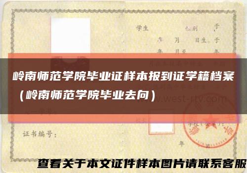 岭南师范学院毕业证样本报到证学籍档案（岭南师范学院毕业去向）缩略图
