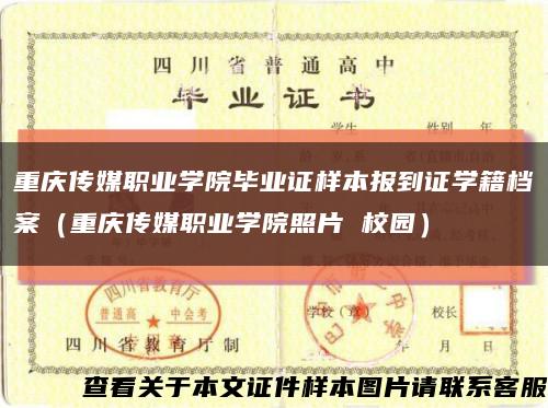 重庆传媒职业学院毕业证样本报到证学籍档案（重庆传媒职业学院照片 校园）缩略图