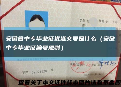 安徽省中专毕业证批准文号是什么（安徽中专毕业证编号规则）缩略图