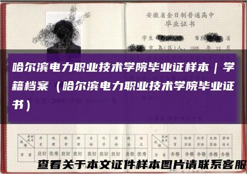 哈尔滨电力职业技术学院毕业证样本｜学籍档案（哈尔滨电力职业技术学院毕业证书）缩略图