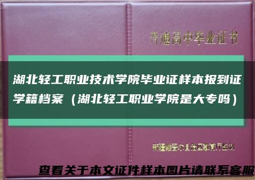 湖北轻工职业技术学院毕业证样本报到证学籍档案（湖北轻工职业学院是大专吗）缩略图