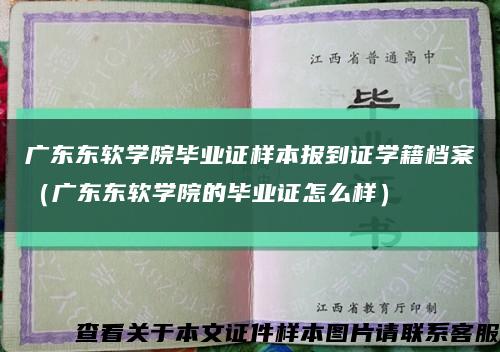 广东东软学院毕业证样本报到证学籍档案（广东东软学院的毕业证怎么样）缩略图