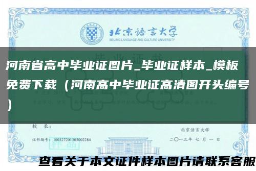 河南省高中毕业证图片_毕业证样本_模板免费下载（河南高中毕业证高清图开头编号）缩略图