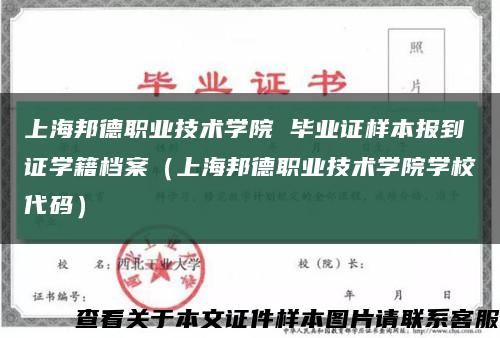 上海邦德职业技术学院 毕业证样本报到证学籍档案（上海邦德职业技术学院学校代码）缩略图