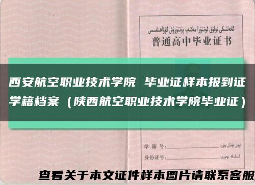 西安航空职业技术学院 毕业证样本报到证学籍档案（陕西航空职业技术学院毕业证）缩略图