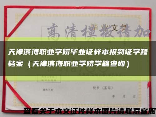天津滨海职业学院毕业证样本报到证学籍档案（天津滨海职业学院学籍查询）缩略图