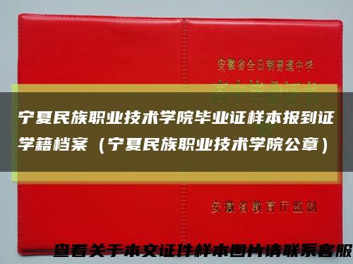 宁夏民族职业技术学院毕业证样本报到证学籍档案（宁夏民族职业技术学院公章）缩略图