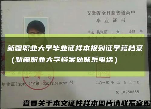新疆职业大学毕业证样本报到证学籍档案（新疆职业大学档案处联系电话）缩略图