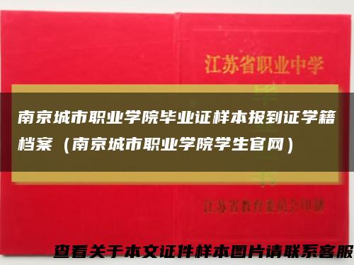 南京城市职业学院毕业证样本报到证学籍档案（南京城市职业学院学生官网）缩略图