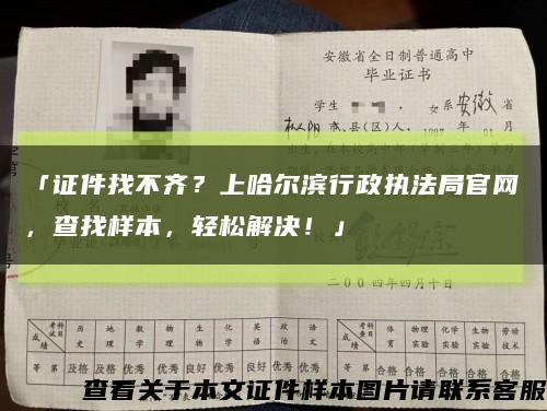 「证件找不齐？上哈尔滨行政执法局官网，查找样本，轻松解决！」缩略图