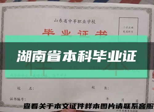 湖南省本科毕业证缩略图