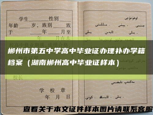 郴州市第五中学高中毕业证办理补办学籍档案（湖南郴州高中毕业证样本）缩略图