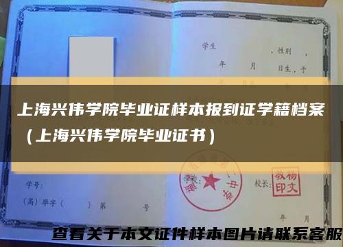 上海兴伟学院毕业证样本报到证学籍档案（上海兴伟学院毕业证书）缩略图