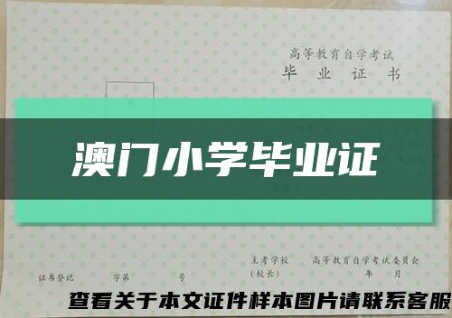 澳门小学毕业证缩略图