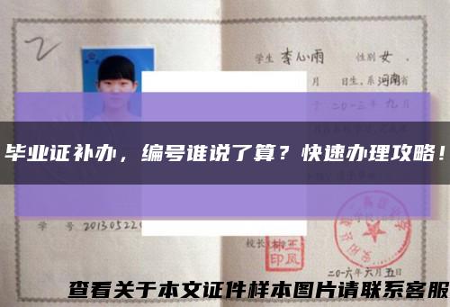 毕业证补办，编号谁说了算？快速办理攻略！缩略图