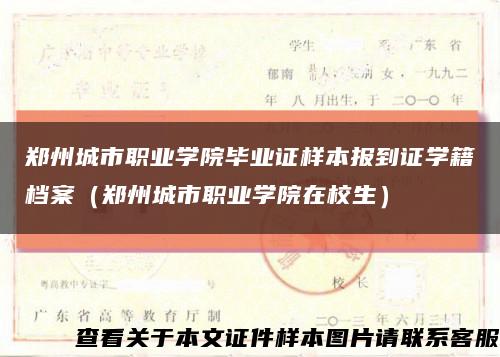 郑州城市职业学院毕业证样本报到证学籍档案（郑州城市职业学院在校生）缩略图