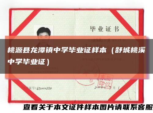 桃源县龙潭镇中学毕业证样本（舒城桃溪中学毕业证）缩略图