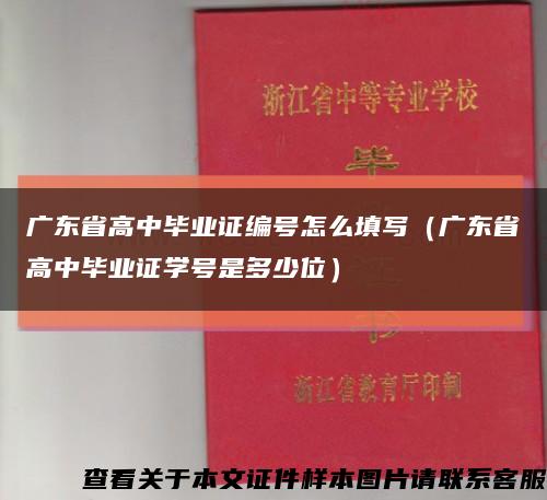 广东省高中毕业证编号怎么填写（广东省高中毕业证学号是多少位）缩略图