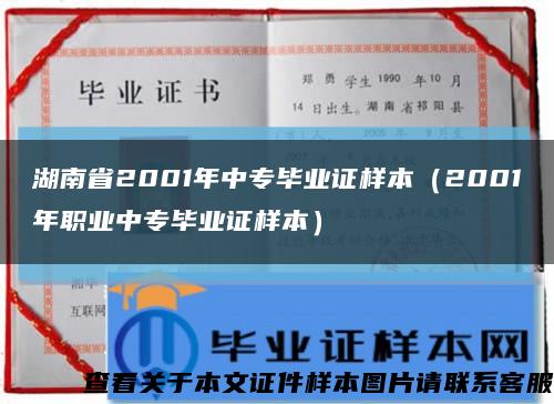 湖南省2001年中专毕业证样本（2001年职业中专毕业证样本）缩略图