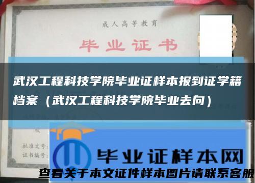 武汉工程科技学院毕业证样本报到证学籍档案（武汉工程科技学院毕业去向）缩略图