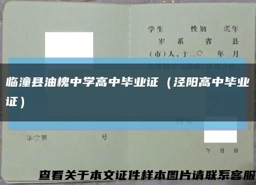 临潼县油槐中学高中毕业证（泾阳高中毕业证）缩略图