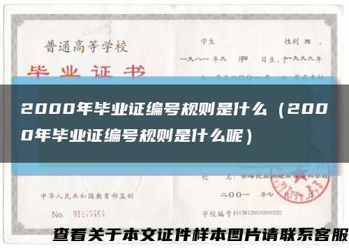 2000年毕业证编号规则是什么（2000年毕业证编号规则是什么呢）缩略图