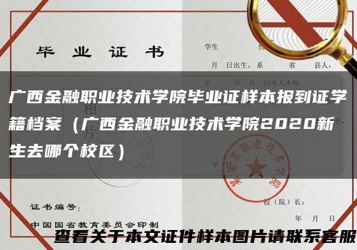 广西金融职业技术学院毕业证样本报到证学籍档案（广西金融职业技术学院2020新生去哪个校区）缩略图