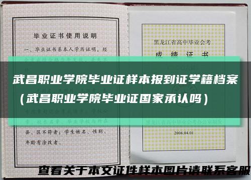 武昌职业学院毕业证样本报到证学籍档案（武昌职业学院毕业证国家承认吗）缩略图