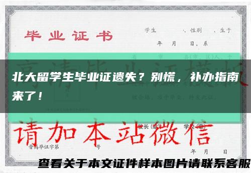 北大留学生毕业证遗失？别慌，补办指南来了！缩略图