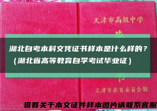 湖北自考本科文凭证书样本是什么样的？（湖北省高等教育自学考试毕业证）缩略图