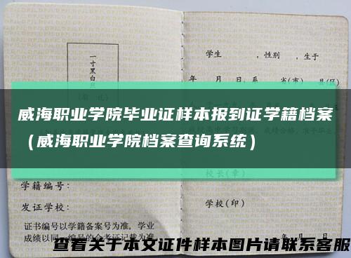 威海职业学院毕业证样本报到证学籍档案（威海职业学院档案查询系统）缩略图
