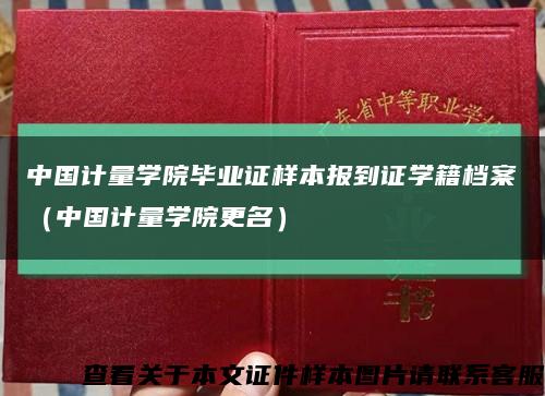中国计量学院毕业证样本报到证学籍档案（中国计量学院更名）缩略图