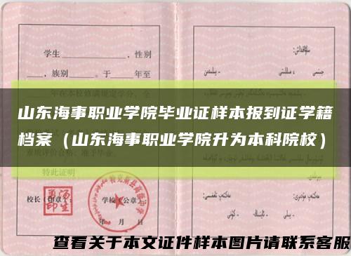 山东海事职业学院毕业证样本报到证学籍档案（山东海事职业学院升为本科院校）缩略图