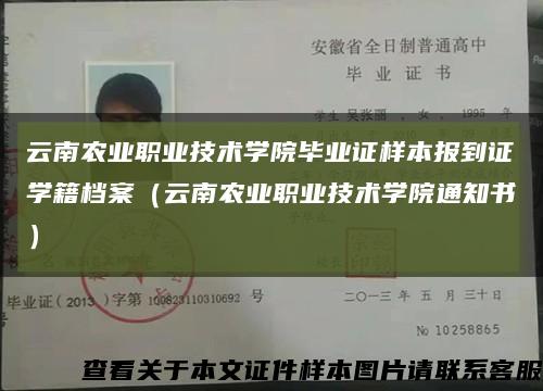 云南农业职业技术学院毕业证样本报到证学籍档案（云南农业职业技术学院通知书）缩略图