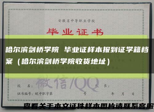 哈尔滨剑桥学院 毕业证样本报到证学籍档案（哈尔滨剑桥学院收货地址）缩略图
