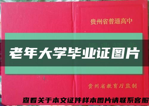 老年大学毕业证图片缩略图