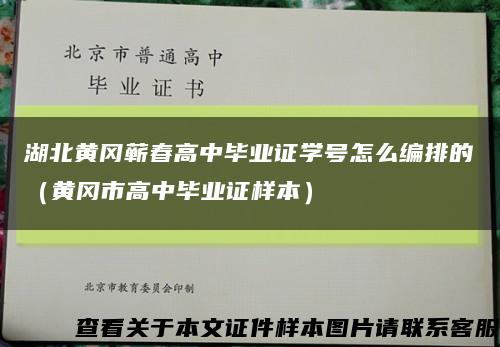 湖北黄冈蕲春高中毕业证学号怎么编排的（黄冈市高中毕业证样本）缩略图