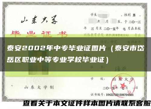 泰安2002年中专毕业证图片（泰安市岱岳区职业中等专业学校毕业证）缩略图