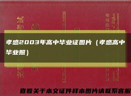 孝感2003年高中毕业证图片（孝感高中毕业照）缩略图