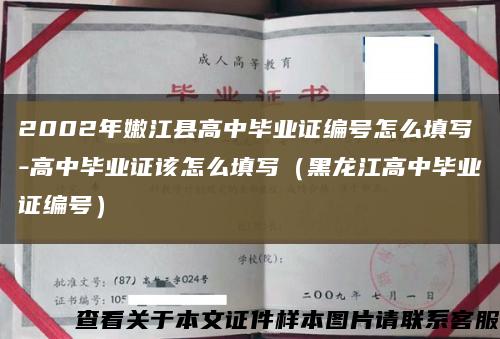 2002年嫩江县高中毕业证编号怎么填写-高中毕业证该怎么填写（黑龙江高中毕业证编号）缩略图