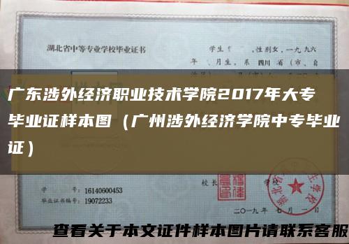 广东涉外经济职业技术学院2017年大专毕业证样本图（广州涉外经济学院中专毕业证）缩略图