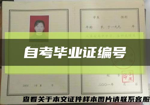 自考毕业证编号缩略图