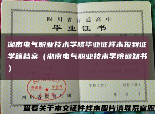 湖南电气职业技术学院毕业证样本报到证学籍档案（湖南电气职业技术学院通知书）缩略图